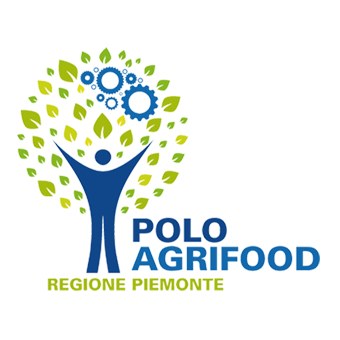 Logo POLO